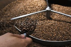 Jasa sangrai biji kopi di Bekasi