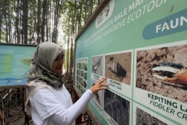 PLN NTB raih penghargaan Indonesia Green Awards 2025 untuk pengembangan ekowisata Bale Mangrove