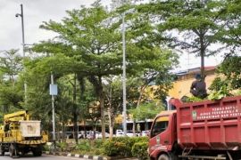 Disperakimtan Batam tuntaskan 418 peremajaan pohon pada 2024