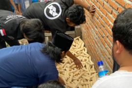 Mahasiswa KKN Unram gelar pelatihan pengolahan jamur merang di Babussalam Lombok Barat