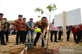 Menteri LH dukung program penghijauan di Tanah Bumbu