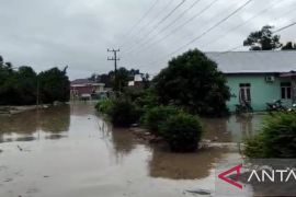 Puluhan rumah warga di Riau Silip Bangka terendam banjir
