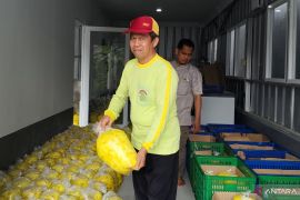 Pemkab gencarkan promosi manisan Cianjur sebagai WBTB