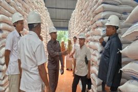 Distan Kulon Progo imbau petani tunda jual gabah di bawah HPP