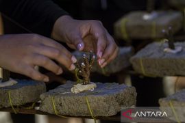 RI-AS tuntaskan proses alih utang untuk konservasi terumbu karang