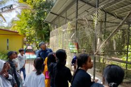 TBM Masure giatkan literasi Maluku Utara lewat pelatihan sastra di Suaka Paruh Bengkok