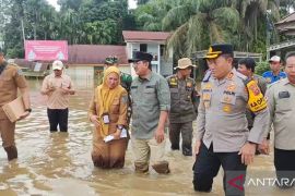 Bupati Tanjabbar tinjau banjir dan jalan Lintas Timur Sumatera putus