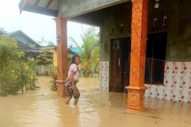 Sejumlah desa di Kabupaten Gunung Mas dilanda banjir