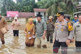 Bupati Tanjabbar tinjau banjir dan jalan putus di lintas timur Sumatera