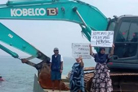 Pembangunan dermaga yang rusak mangrove diminta dihentikan