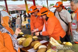 Durian Bengkulu meraih juara pertama dalam kontes di Sumatera Selatan