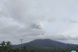 Gunung Lewotobi Laki-laki erupsi empat kali