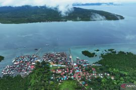 Ministry investigates dolphin slaughter in SE Sulawesi