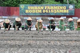Pj Wali Kota dukung 'Urban Farming TNI' untuk kenguatan ketahanan pangan