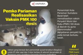 Pemko Pariaman realisasikan vaksin PMK 100 dosis