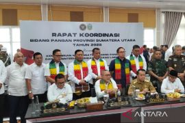 Menko Pangan minta seluruh pemda bantu capai swasembada  pangan