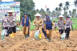 Pj Wali Kota Jambi hadiri penanaman jagung serentak satu juta hektar