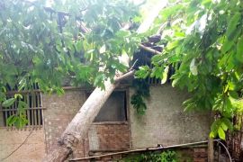 Angin puting beliung landa lima kampung di Sukabumi