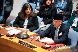 Wamenlu RI desak DK PBB mengambil langkah nyata bagi perdamaian Palestina