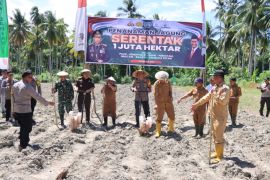 Polres Touna lakukan gerakan penanaman jagung dukung ketahanan pangan