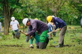 SIER dukung Pemkab Pasuruan catatkan rekor MURI tanam mangga putar