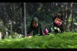 AFR dan EBT: Strategi Hijau PT Semen Padang untuk Efisiensi dan Lingkungan