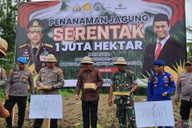 Bupati Bangli Tanam jagung dukung ketahanan pangan