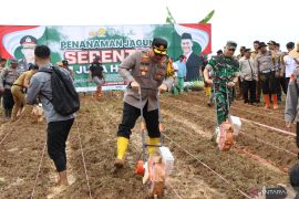 Polres Banjarbaru tanam jagung di lahan  seluas 10 hektare