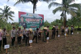 Gerakan penanaman satu juta jagung di wilayah Lombok Tengah dimulai