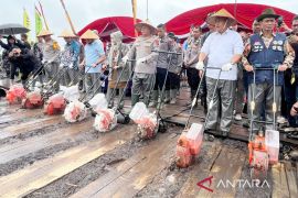 Polda Kalsel targetkan 99 ribu hektare lahan penuhi 300 ribu ton jagung
