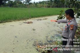 Tiga hari hilang, seorang wanita di Meranti ditemukan tak bernyawa di sawah