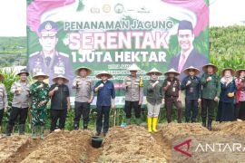 Dukung swasembada pangan, Sukabumi tanam jagung di lahan 70 hektare