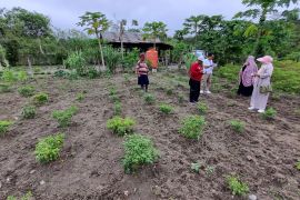 Pemkot konsisten laksanakan program Palu mandiri tangguh pangan