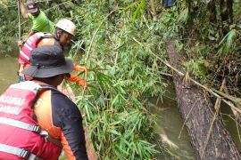 Mahasiswa UIN Suska terseret arus Sungai Gansal ditemukan tewas