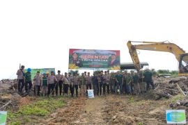 PT AAL kembangkan tumpang sisip jagung dan kelapa sawit