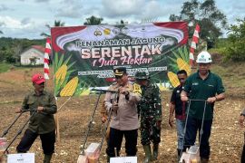 Astra Agro Lestari Area Kaltim dukung program swasembada pangan nasional