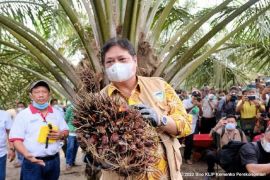 Kemenangan Indonesia dalam sengketa WTO, Pakar Ekonomi: Buka kran ekspor kelapa sawit jadi lebih besar