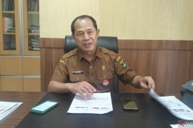 Peternakan Sumbar: Sapi yang terpapar PMK aman dikonsumsi