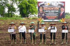 Dukung swasembada pangan, Kota Madiun siapkan lahan 2,5 hektare