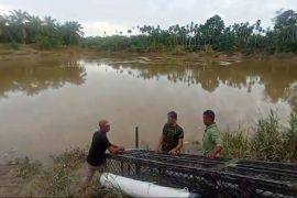 BKSDA pasang perangkap buaya di Aceh Timur