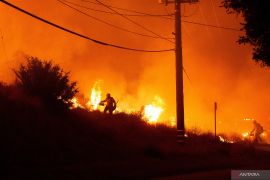 California berjuang lawan karhutla terbesar, 70.800 ha terbakar