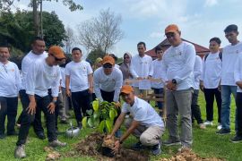 Bawaslu Batanghari tanam pohon Manggis memiliki karakter kuat dan buahnya menunjukkan kejujuran