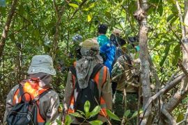Dishut Malut  komitmen tingkatkan kelestarian hutan
