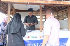 Bank Kalsel buka layanan laku pandai perluas inklusi keuangan