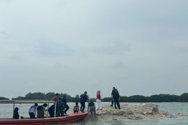 KLH dalami dampak lingkungan dari perusakan mangrove dan terumbu karang di Pulau Pari