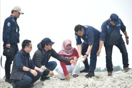 Pengerukan pasir di Pulau Pari ilegal
