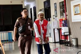 Pembunuh aktivis lingkungan Meratus HST divonis 11 tahun penjara