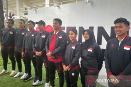 Indonesia tetap dihormati sebagai pemimpin tradisional ASEAN