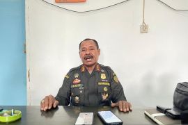 Balai Karantina Papua Pegunungan larang memasukan ternak babi