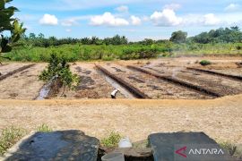 Mukomuko sosialisasikan program cetak sawah baru ke petani